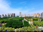 焦作城市建設將有大動作！打造宜居、韌性、智慧、綠色城市!